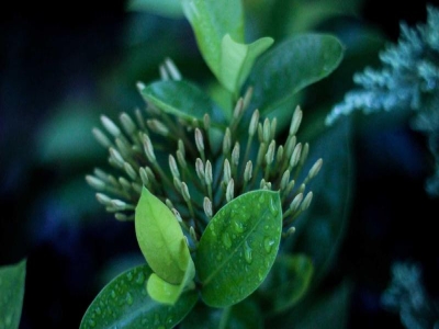 Wall Clock Design Trends 2025-2026 | Expert Analysis from China Factory